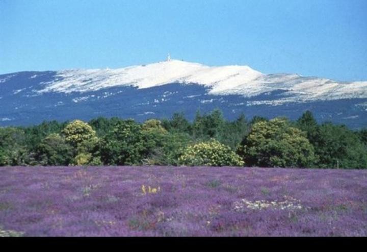 Nature Et Serenite A St Jean De Holiday home *